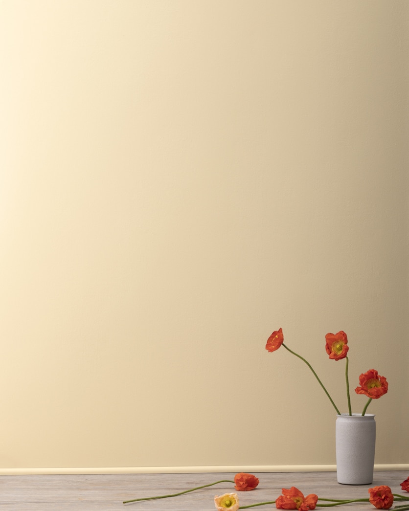 Painted wall in Crumb Cake® CSP-1010