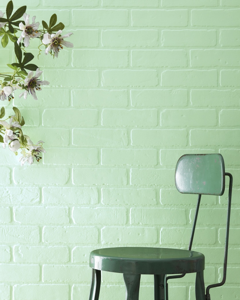 Painted wall in Cucumber Salad 562