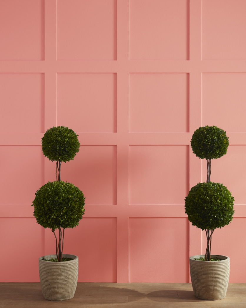Painted wall in Custis Salmon CW-215