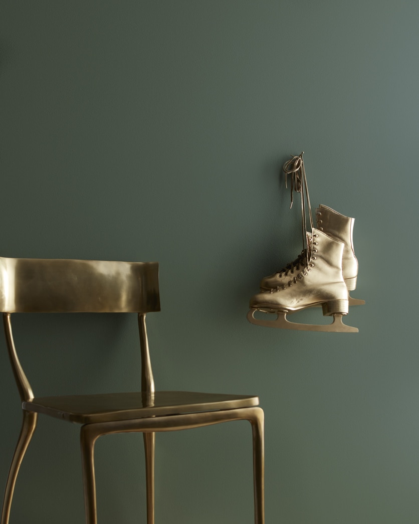 Painted wall in Dakota Shadow 448