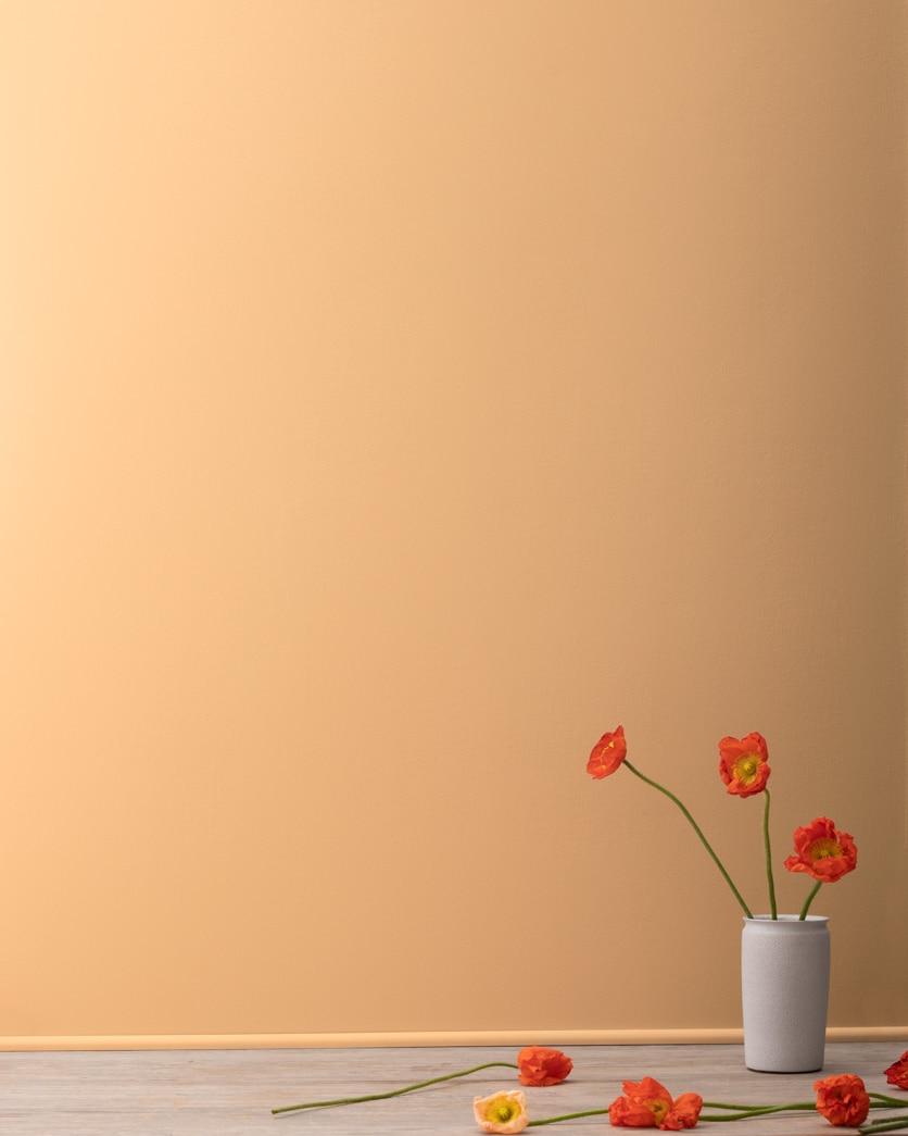 Painted wall in Dark Beige 2165-40