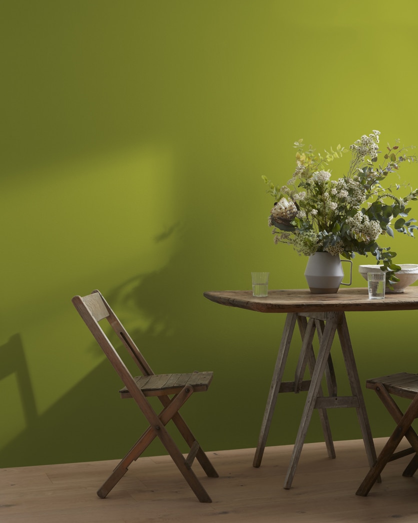 Painted wall in Dark Celery 2146-10
