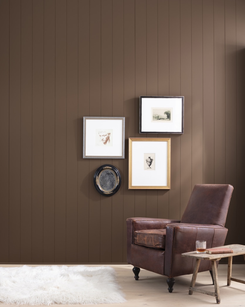 Painted wall in Dark Chocolate CSP-270