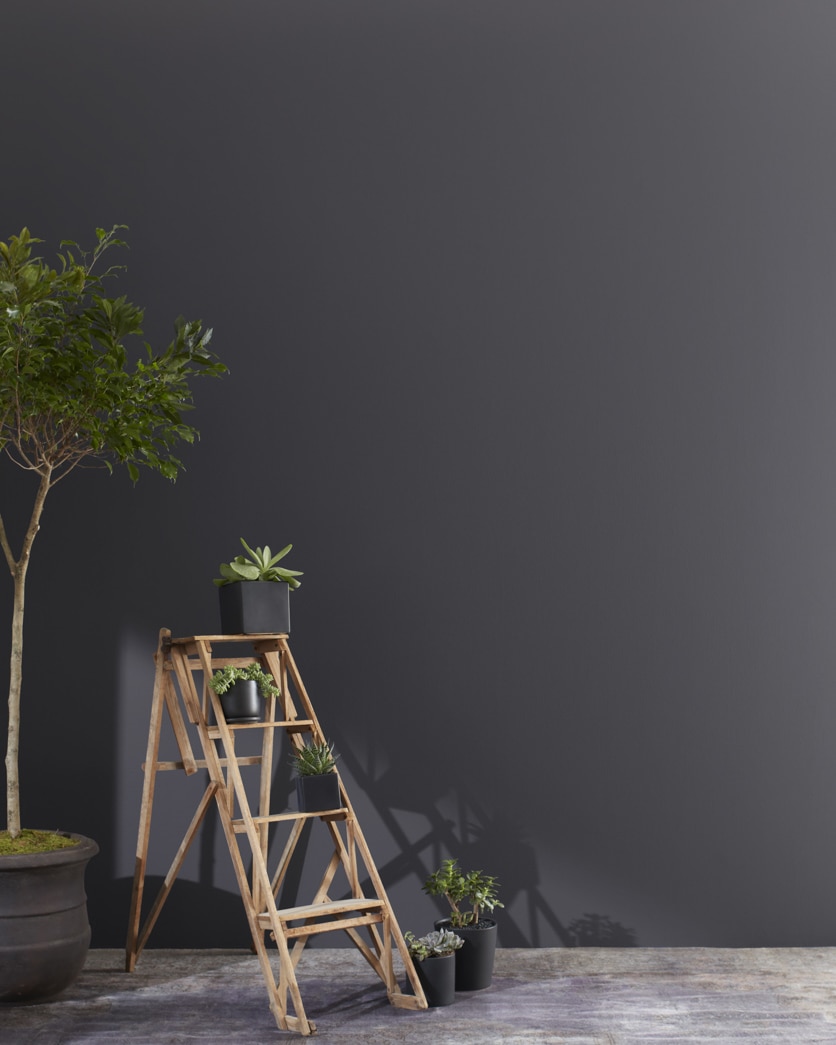 Painted wall in Deep Indigo 1442