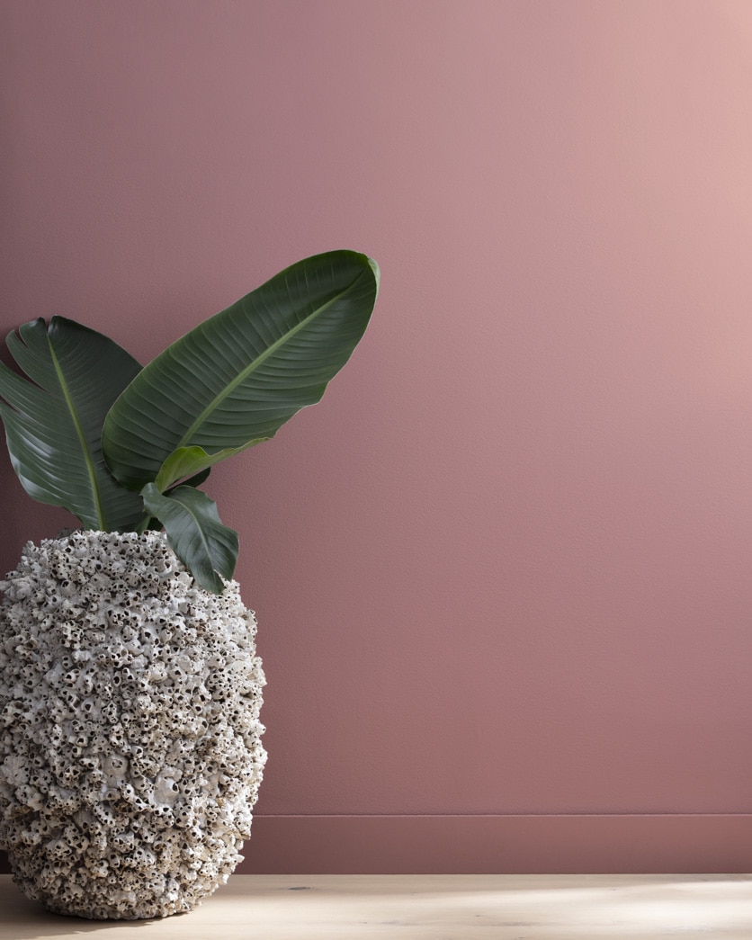 Painted wall in Deep Mauve 1265