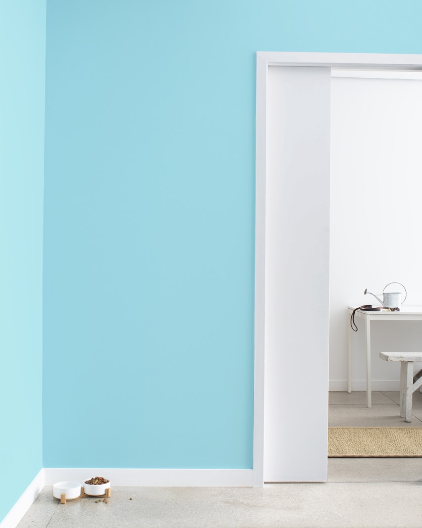 Painted wall in Delano Waters 766