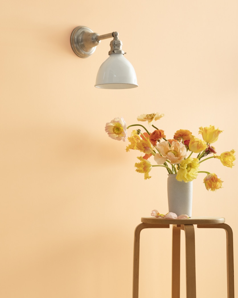 Painted wall in Delicate Peach 120