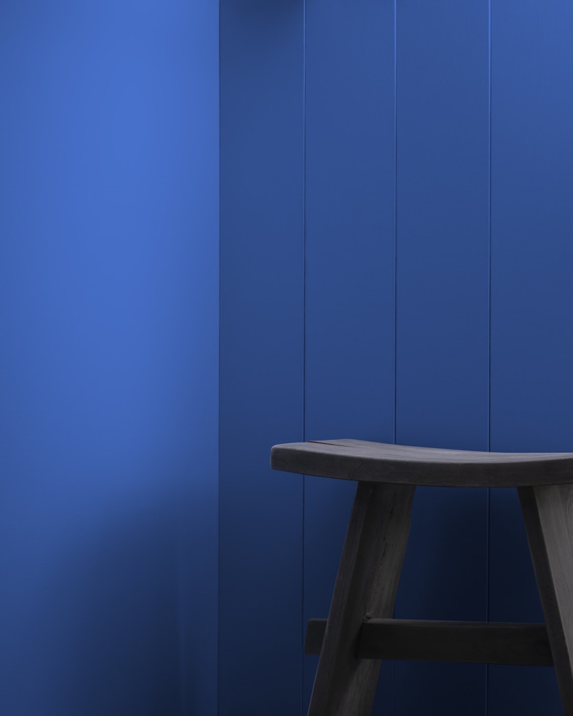 Painted wall in Delphinium CC-872