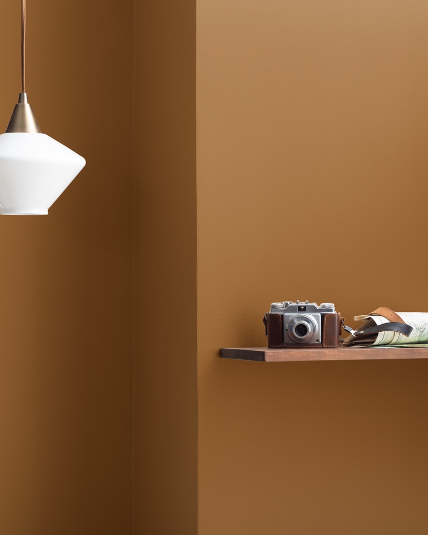 Painted wall in Desert Camel 2162-20