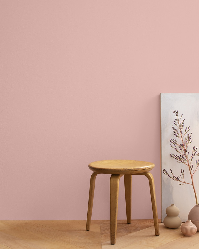 Painted wall in Desert Rose 2094-50