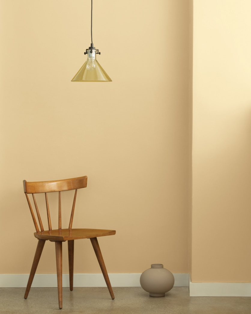 Painted wall in Desert Tan 2153-50
