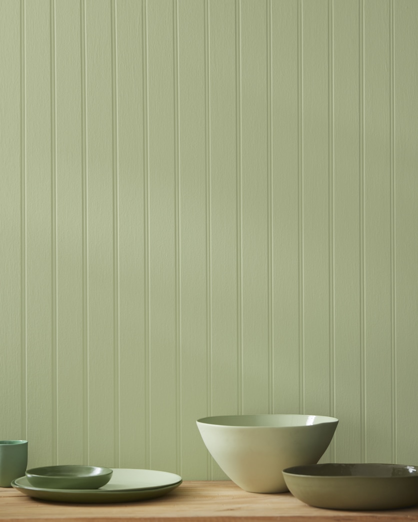 Painted wall in Dill Weed 481