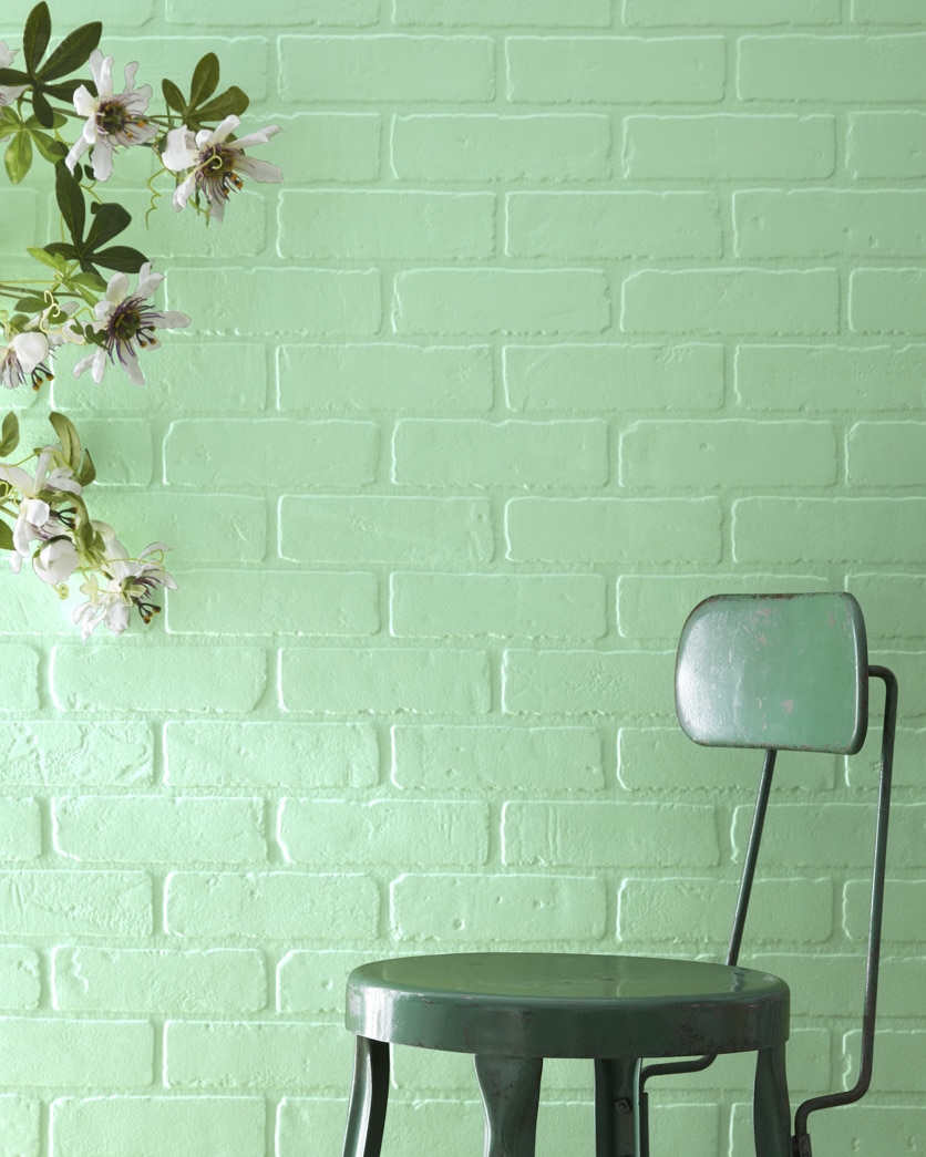Painted wall in Douglas Fern 563