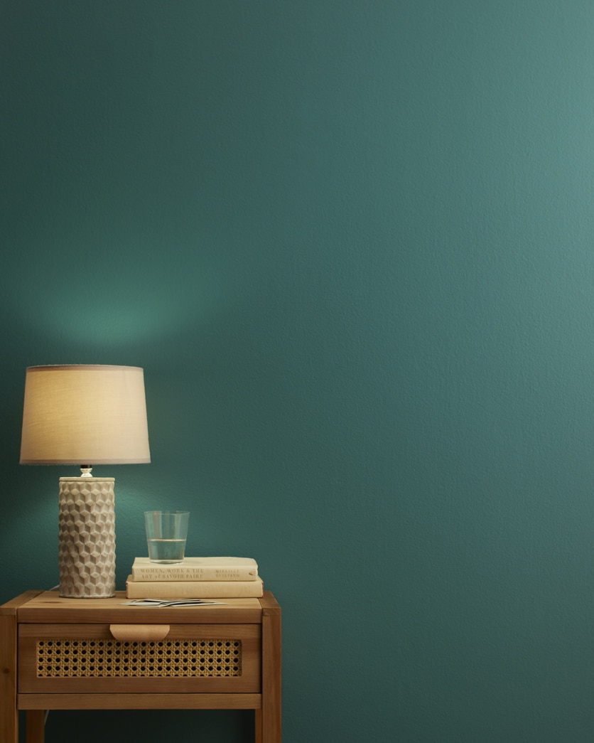 Painted wall in Dragonfly AF-510