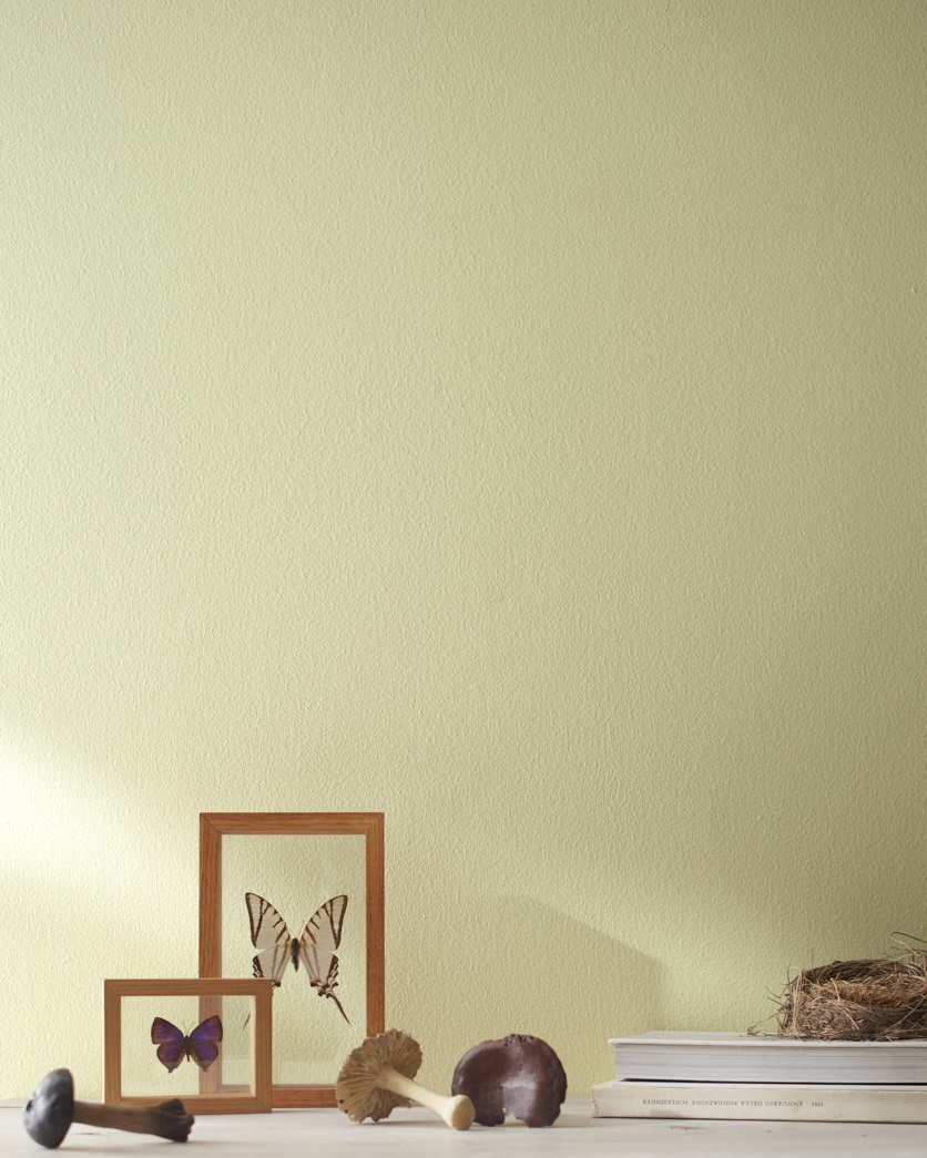 Painted wall in Dried Parsley 522