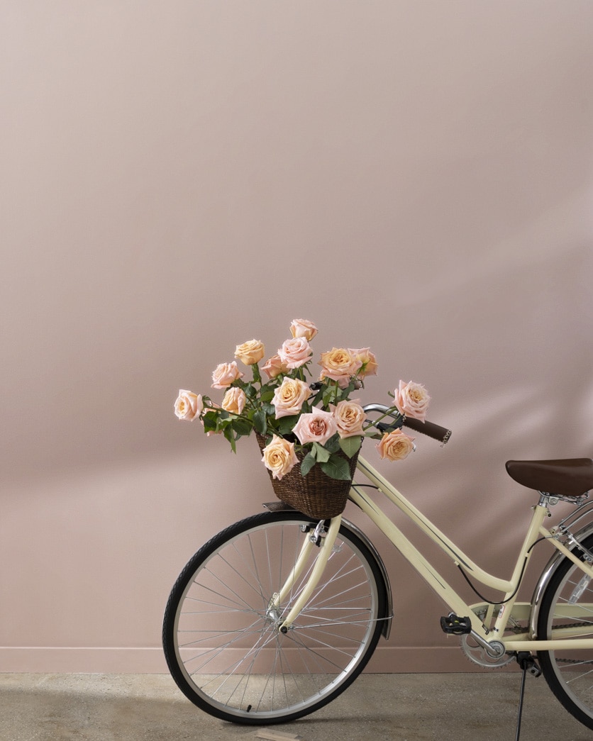 Painted wall in Driftscape Tan 2106-50