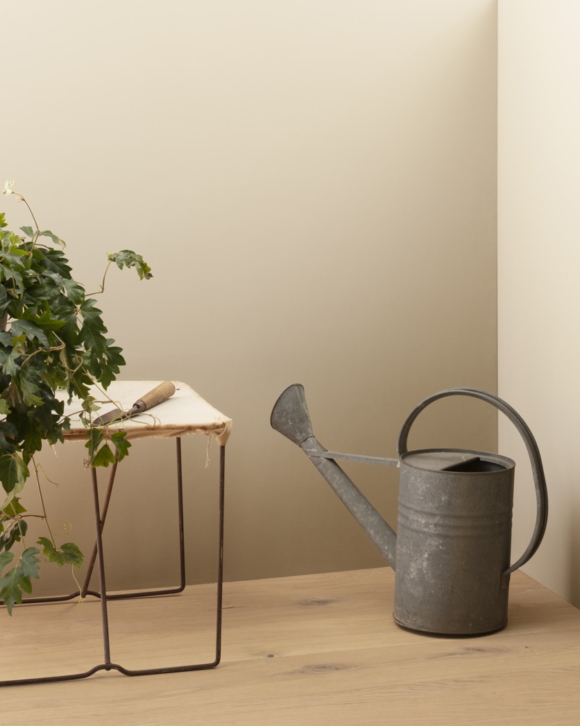 Painted wall in Dulce de Leche CSP-250