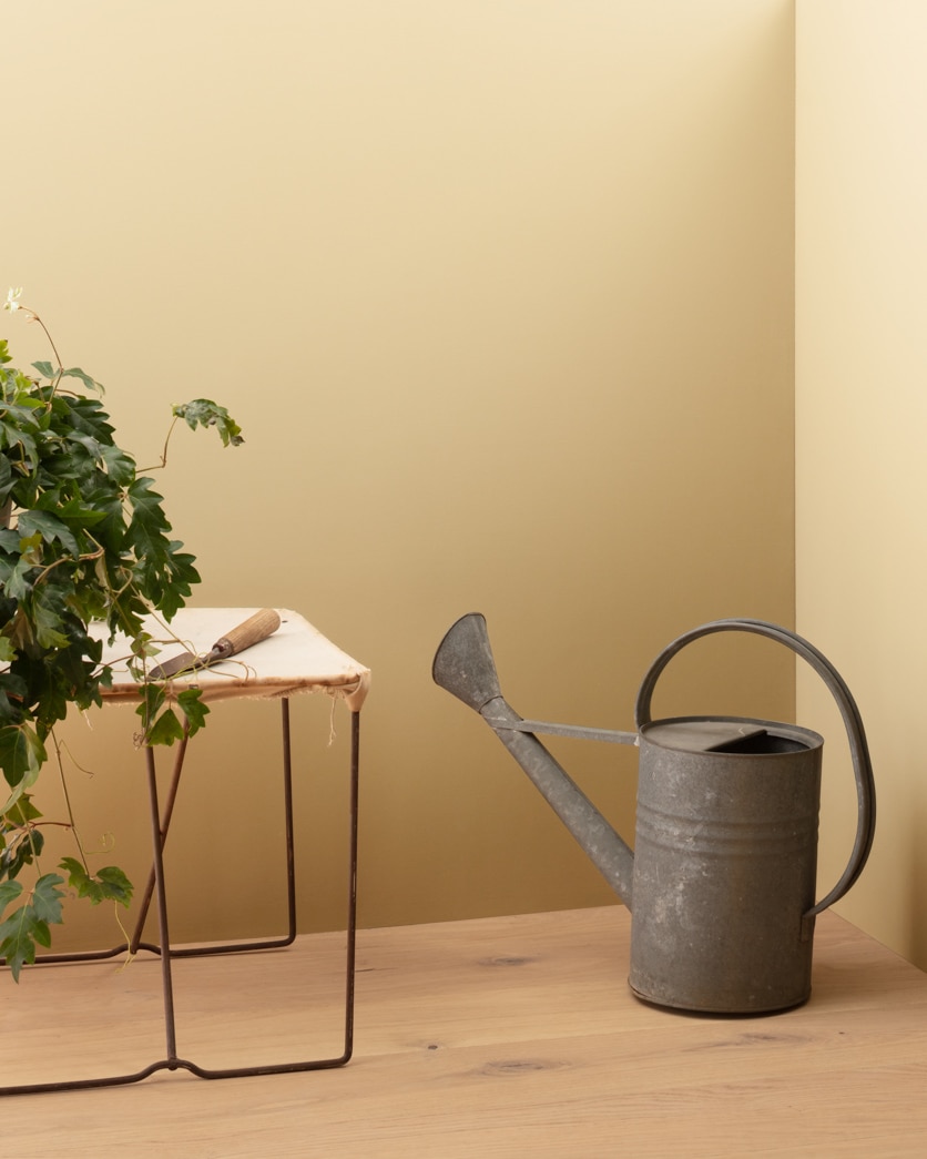 Painted wall in Dunmore Cream HC-29