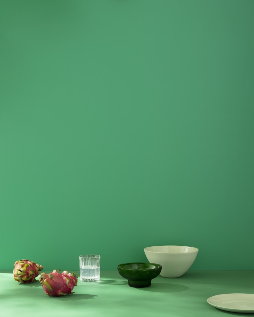 Painted wall in Dunmore Green CW-540