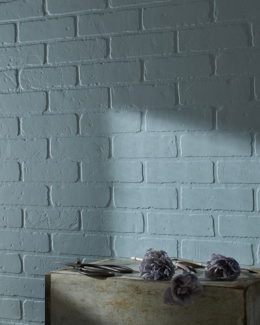 Painted wall in Dusty Cornflower CSP-605