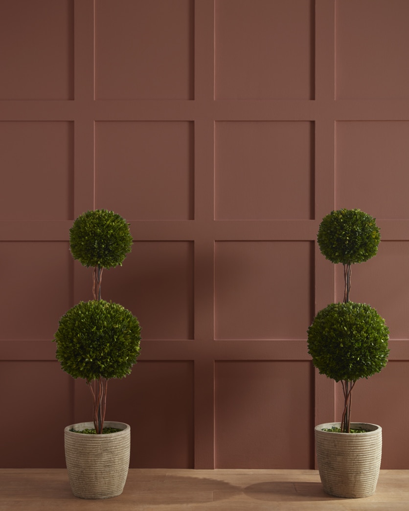 Painted wall in Earth Brown 2102-10