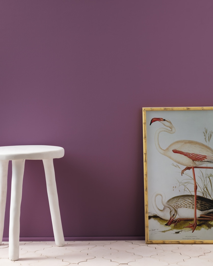 Painted wall in Eggplant 1379