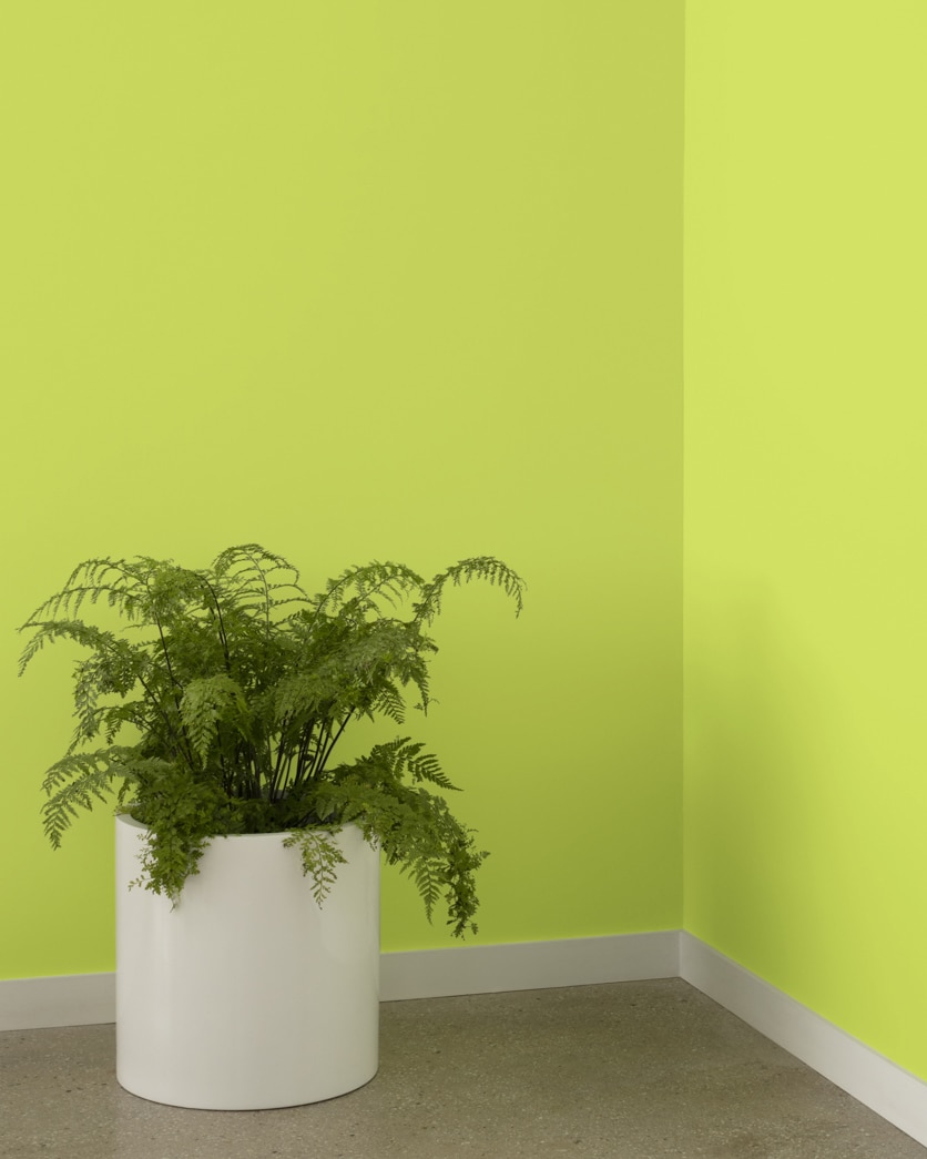 Painted wall in Electric Slide 404
