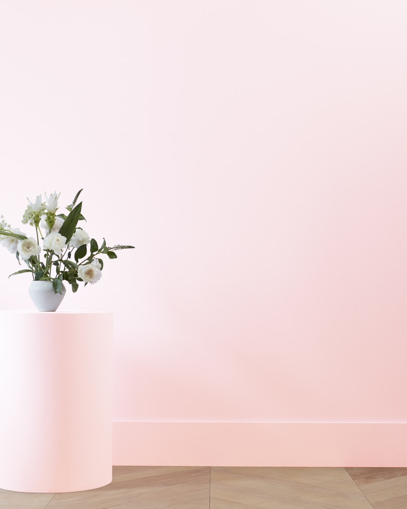 Painted wall in Elephant Pink 2087-70