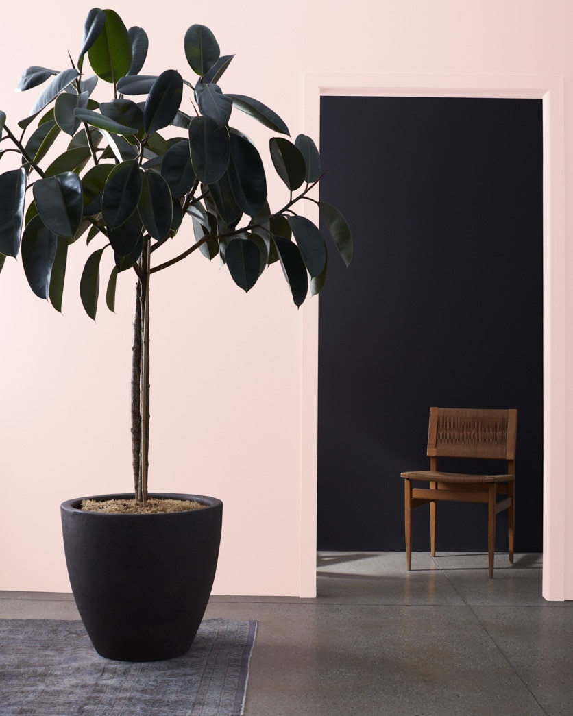 Painted wall in Fairest Pink 2092-70