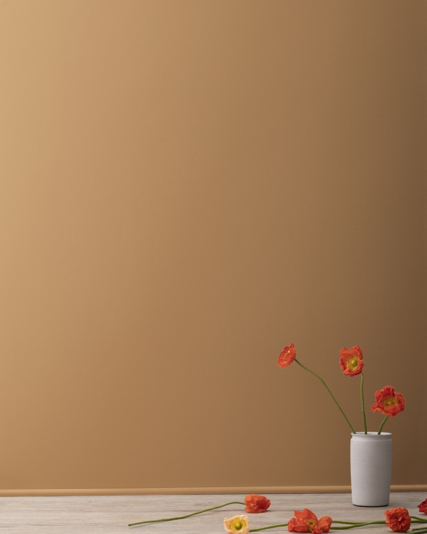 Painted wall in Fairmont Gold 1071