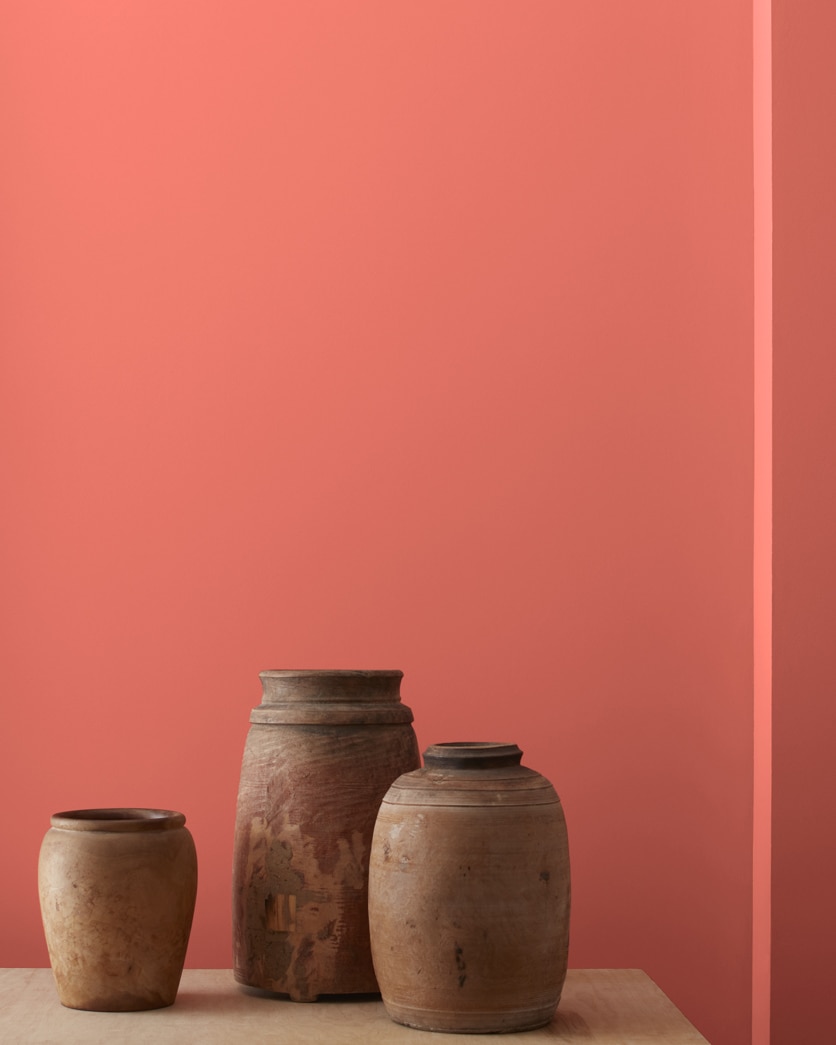 Painted wall in Fan Coral 013