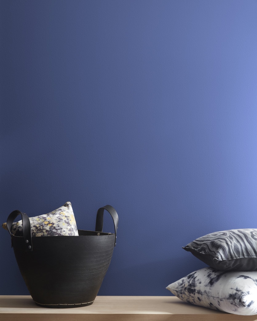 Painted wall in Fancy Pants CSP-525