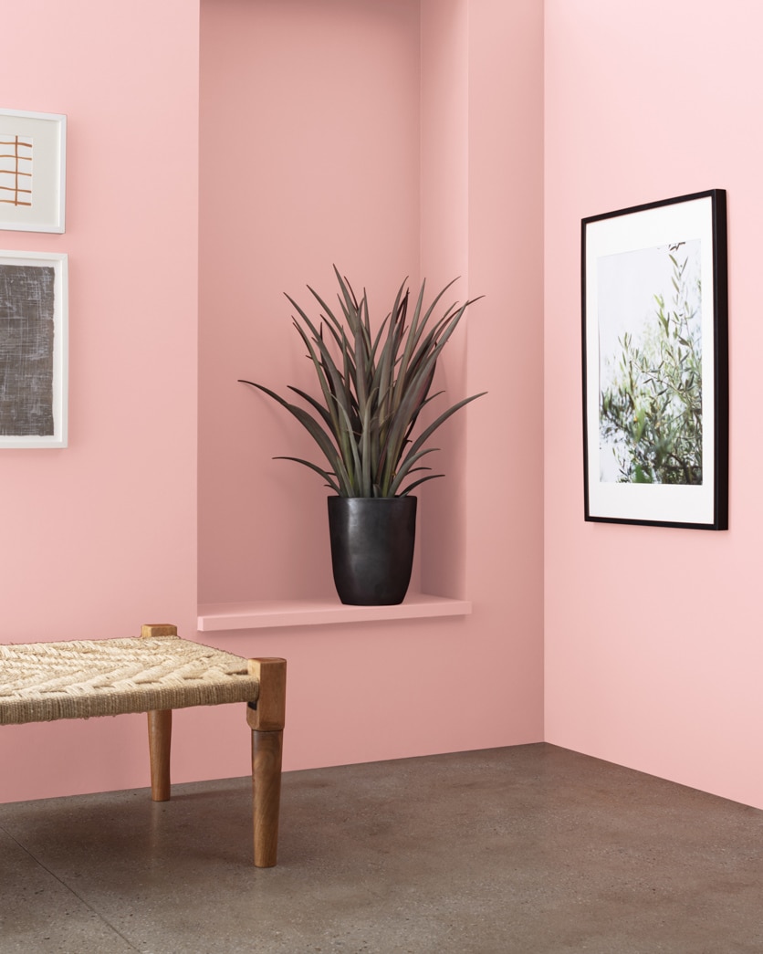 Painted wall in Fantasy Pink 1290