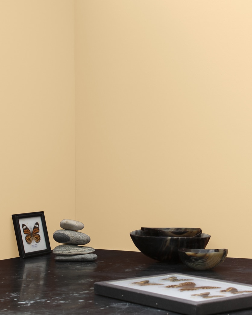Painted wall in Fennel Seed 1101