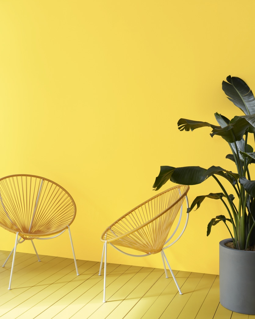 Painted wall in Fiesta Yellow 341
