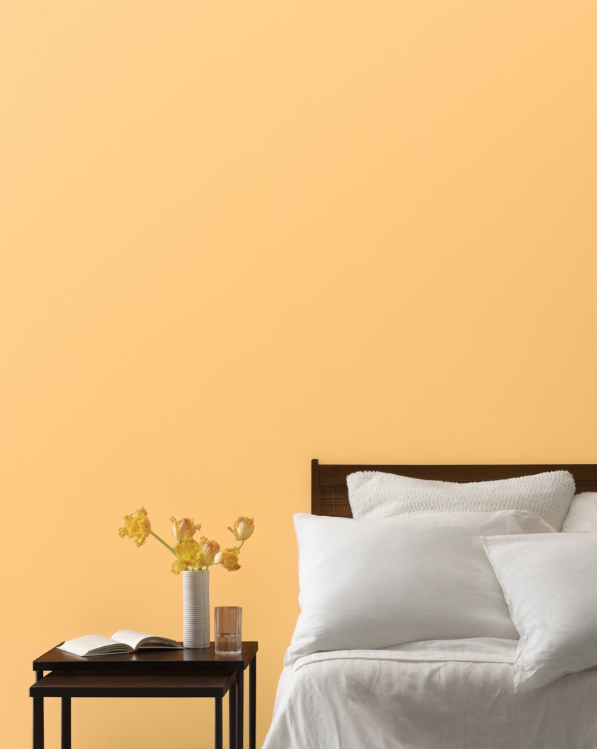Painted wall in Florida Orange 152