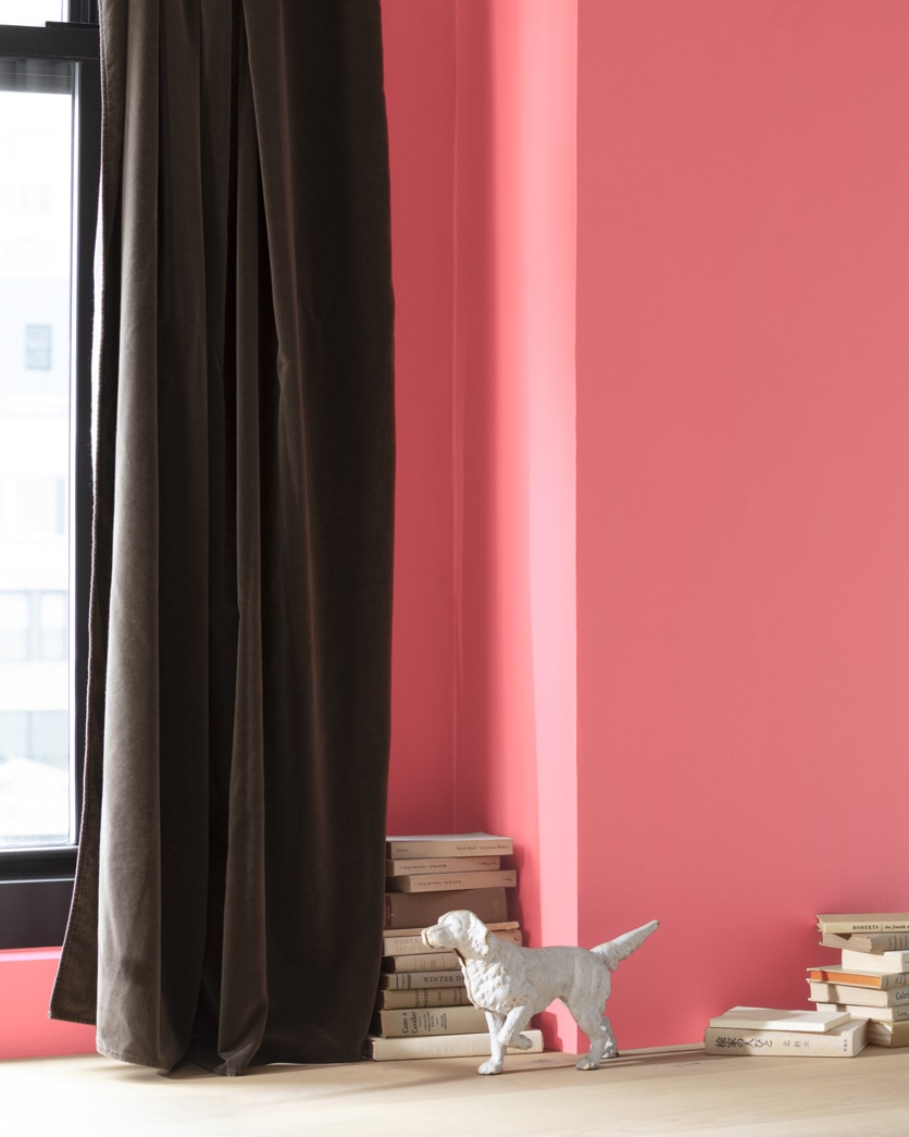 Painted wall in Florida Pink 1320