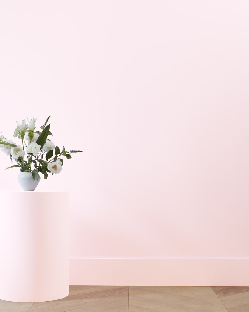 Painted wall in Flush Pink 2081-70