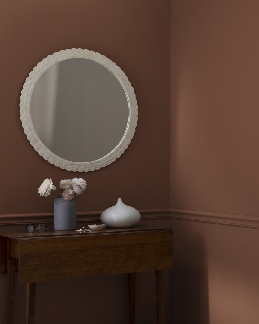 Painted wall in Forest Brown 2105-10