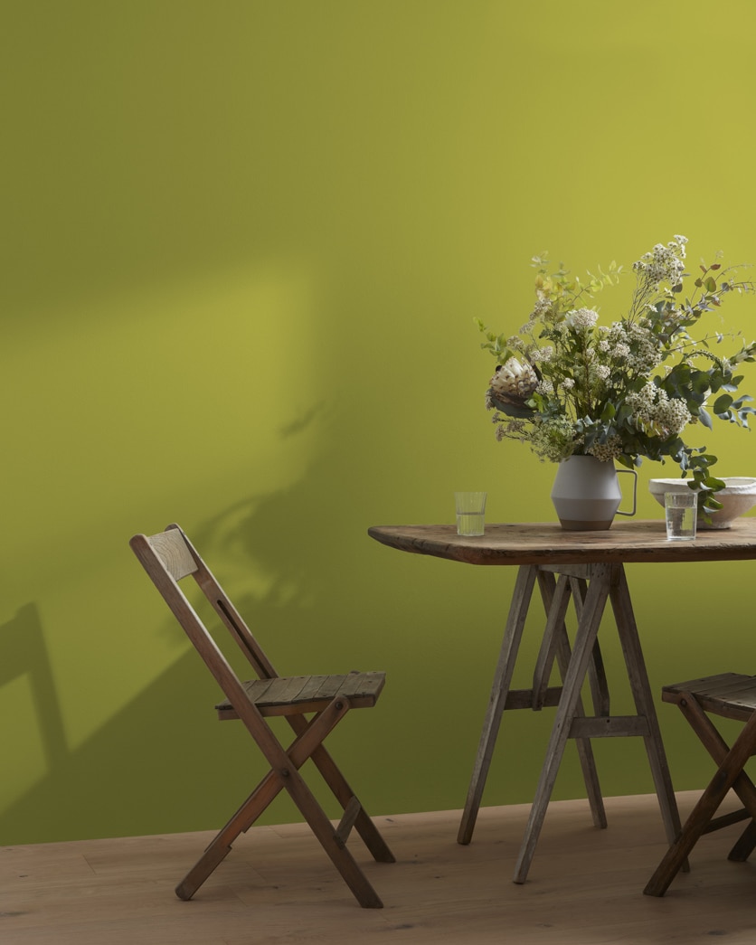 Painted wall in Forest Moss 2146-20