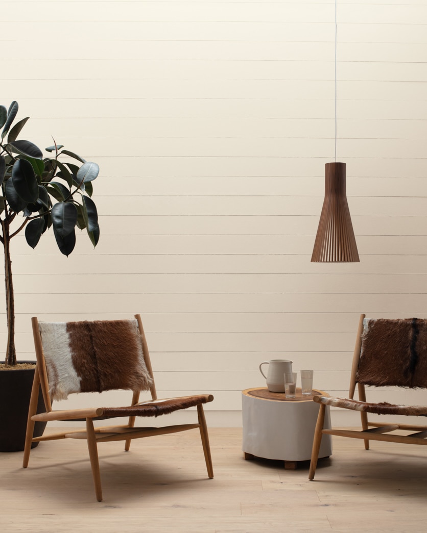 Painted wall in Fossil AF-65