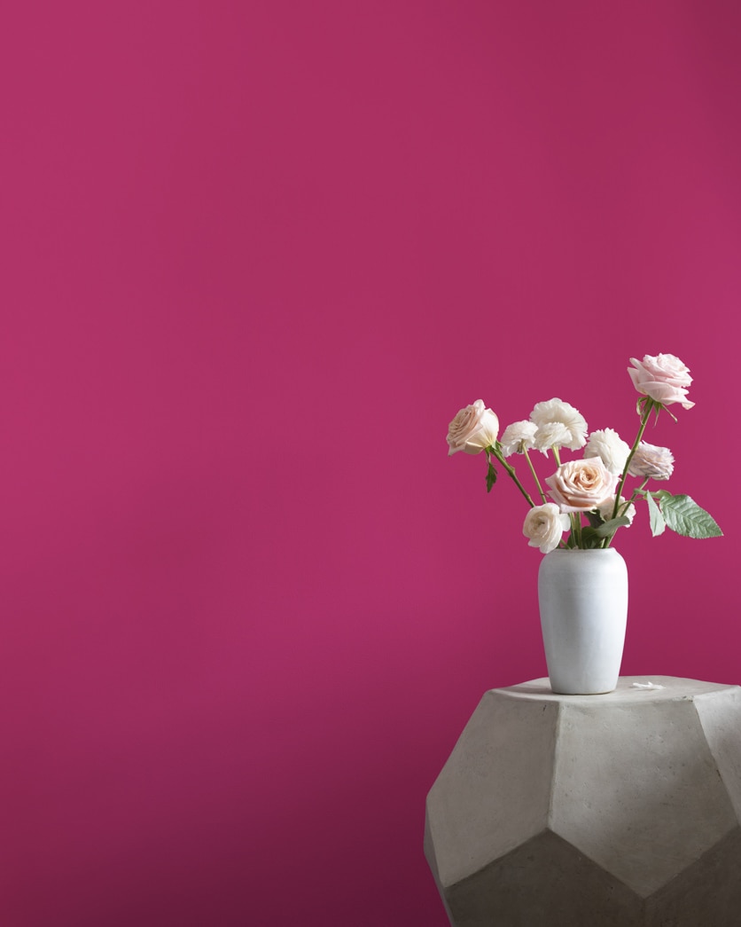 Painted wall in Foxglove Bloom 2077-20