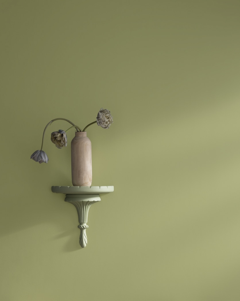 Painted wall in Fraser Fir 503