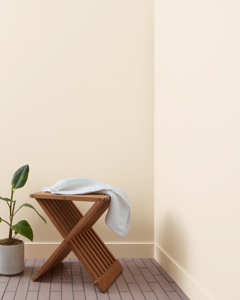 Painted wall in French Macaroon CSP-335