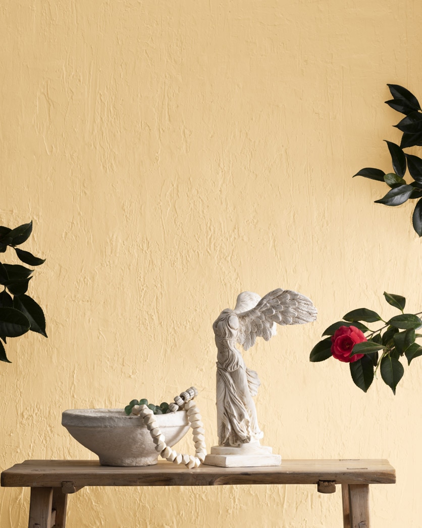 Painted wall in French Toast CC-244