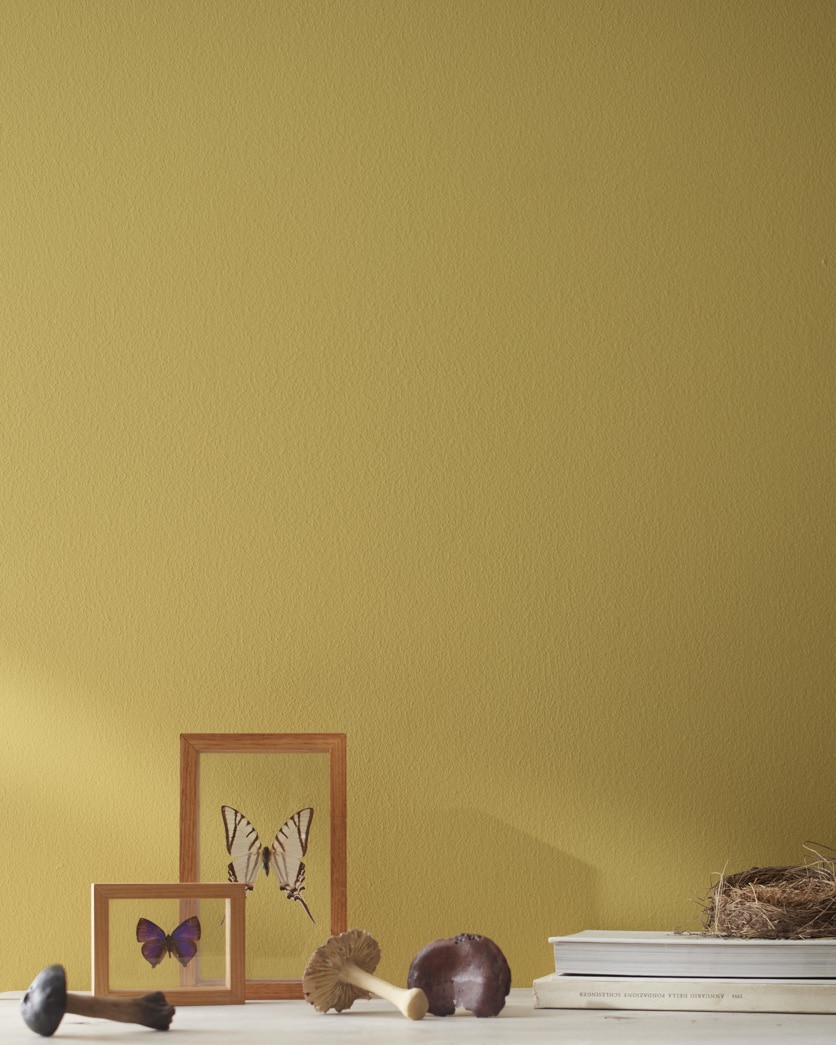 Painted wall in Fresh Olive 2149-30