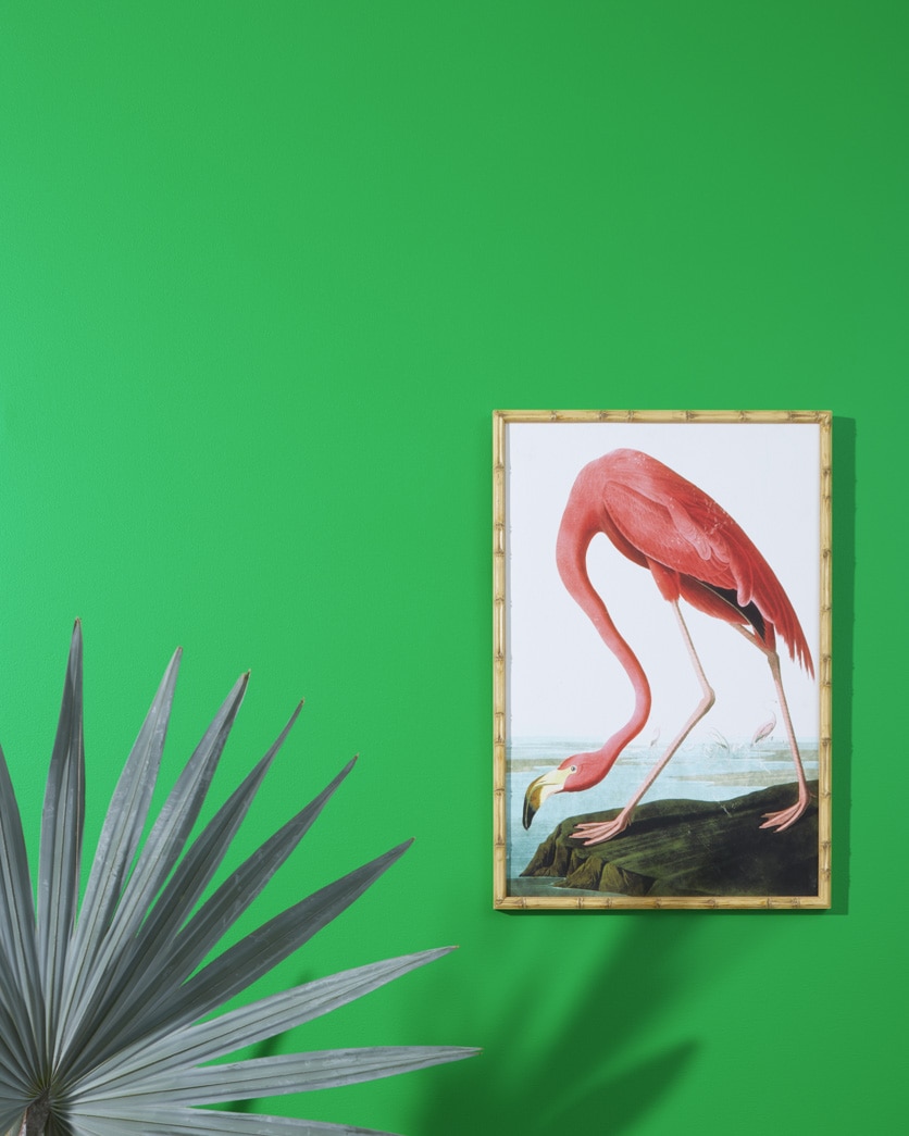 Painted wall in Fresh Scent Green 2033-30