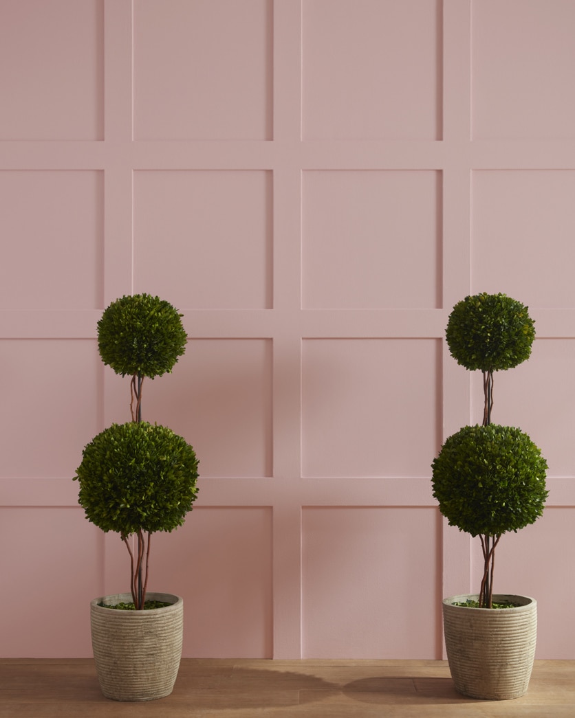 Painted wall in Frosted Berry CC-8