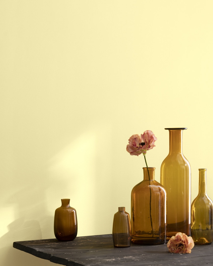 Painted wall in Fun in the Sun 358
