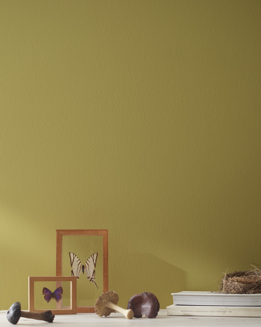 Painted wall in G.I. Green 2149-20